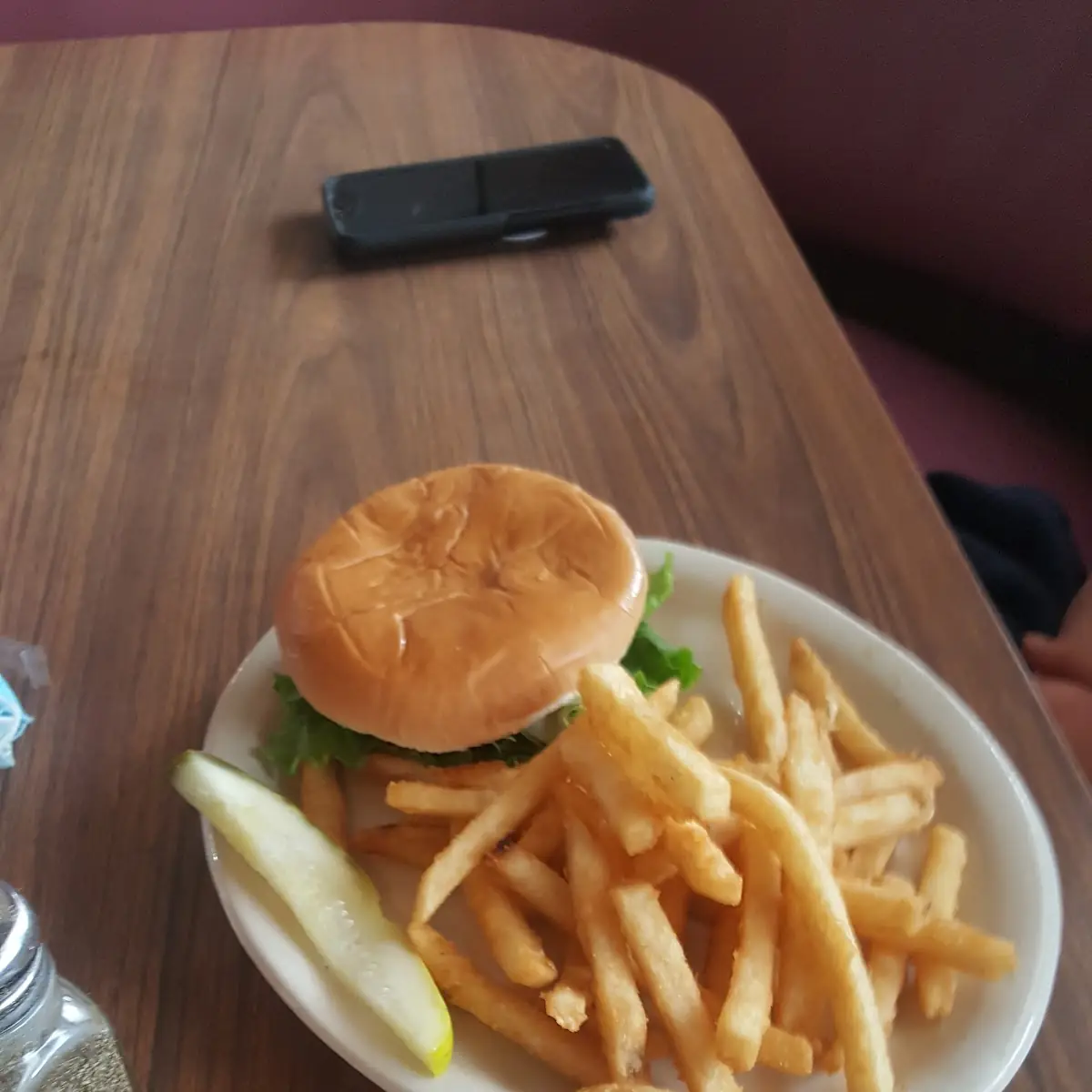 Cheese Burger and Fries
