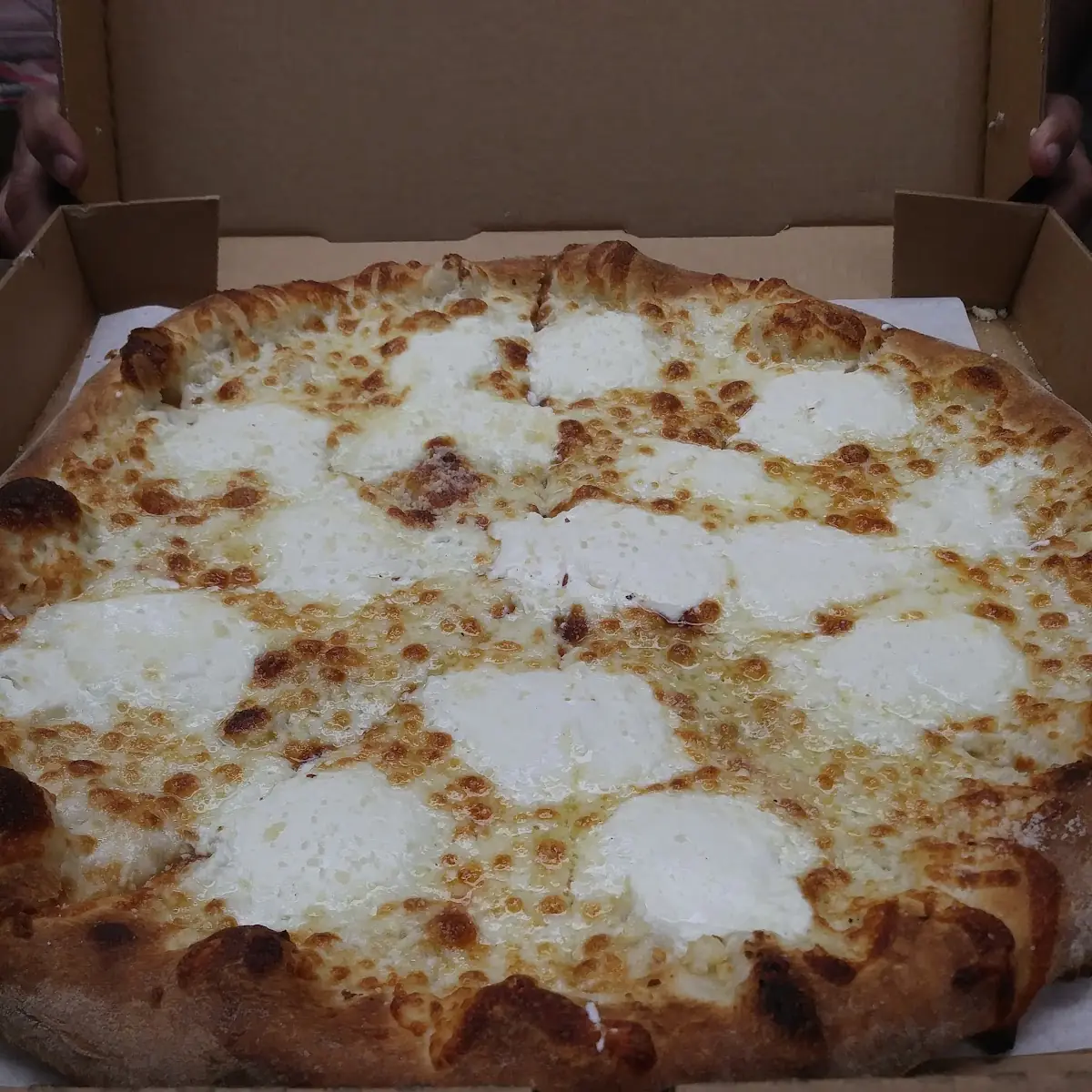 Pizza Bianca White Pizza