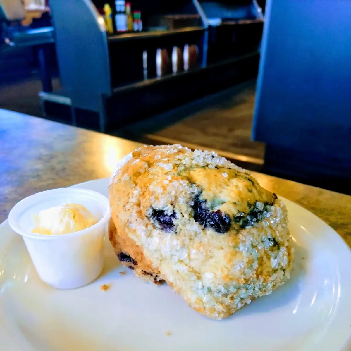 Blueberry Muffin