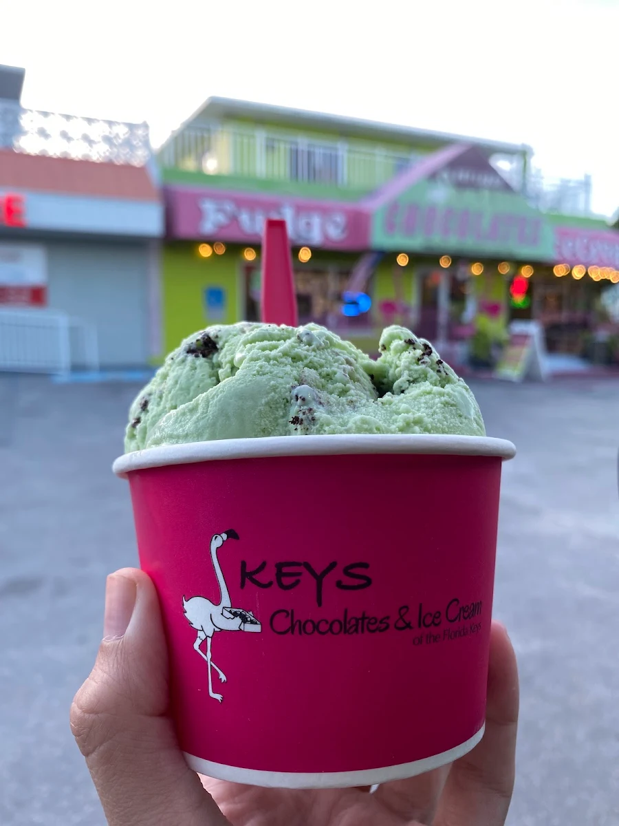 Mint Chocolate Chip Ice Cream