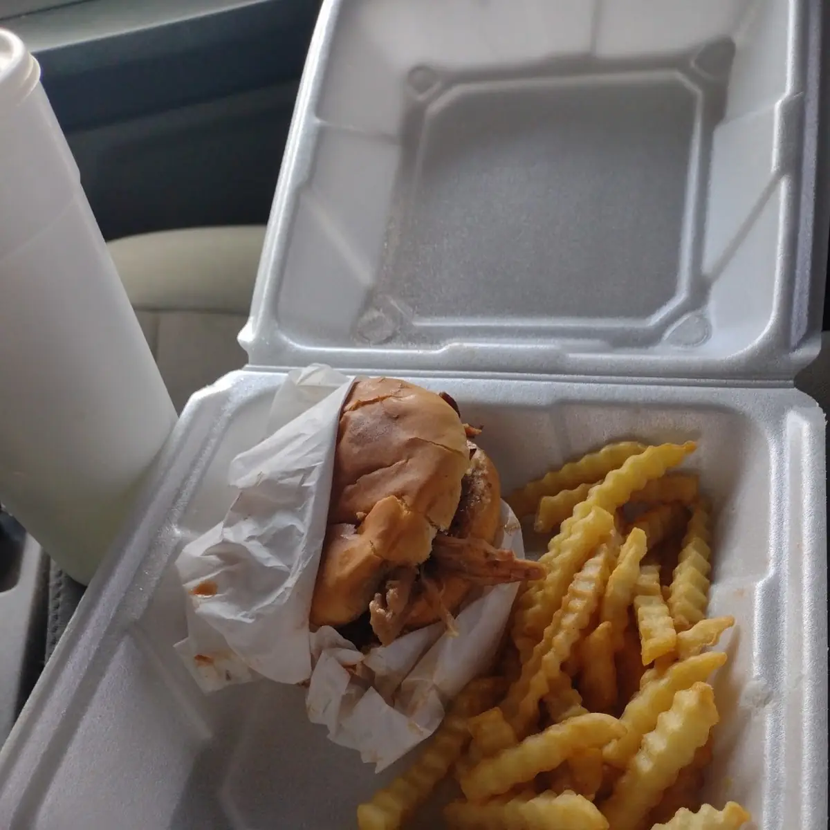 Pulled Pork Sandwich and Fries and Lemonade