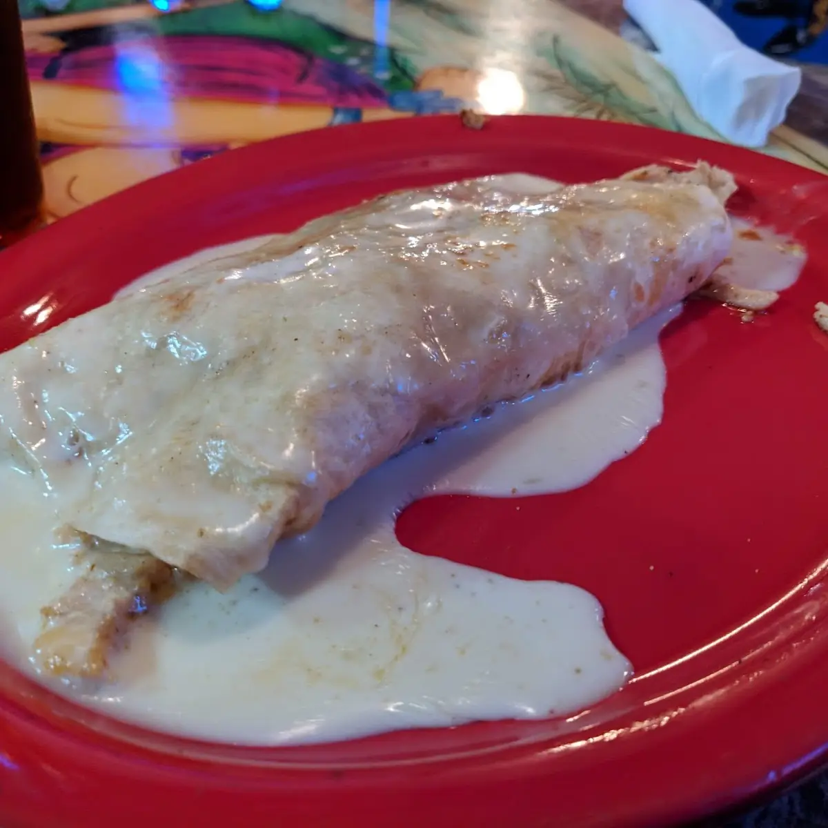 Chicken Burrito
