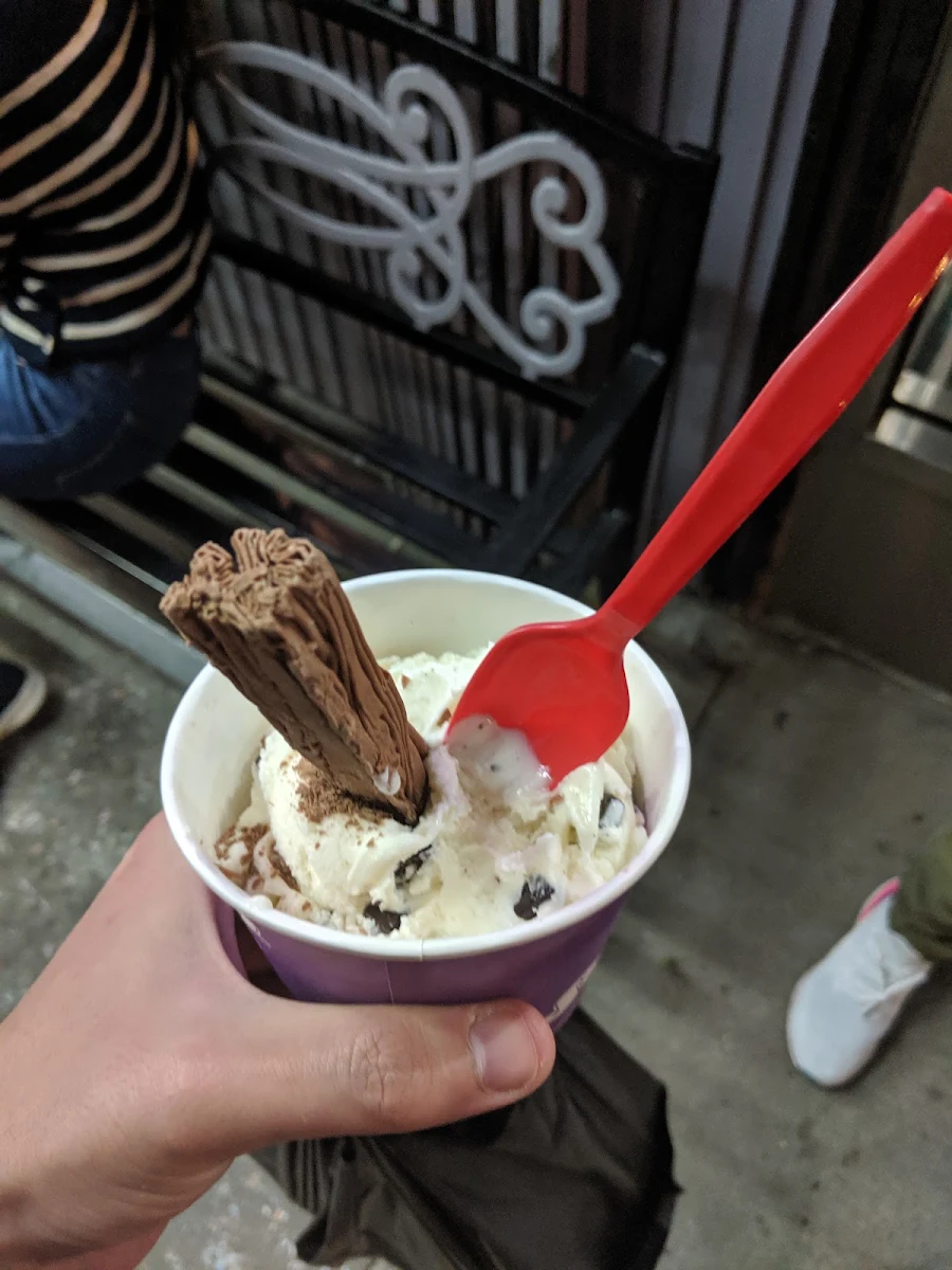 Raspberry Chocolate Chip Hard Frozen Yogurt