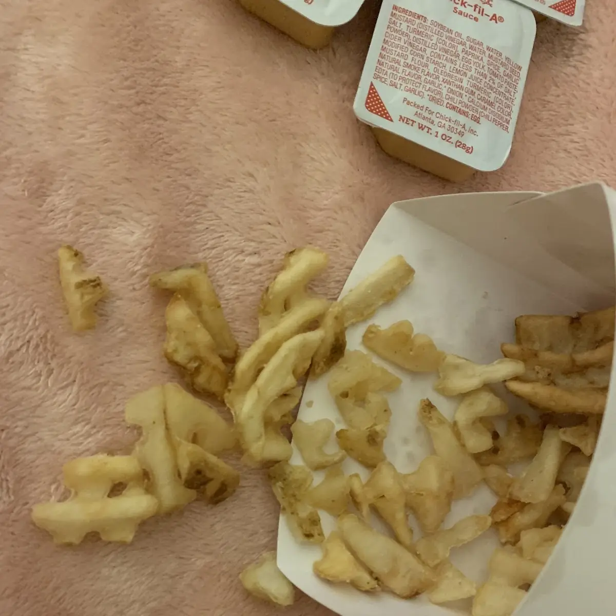 Cheese Fries
