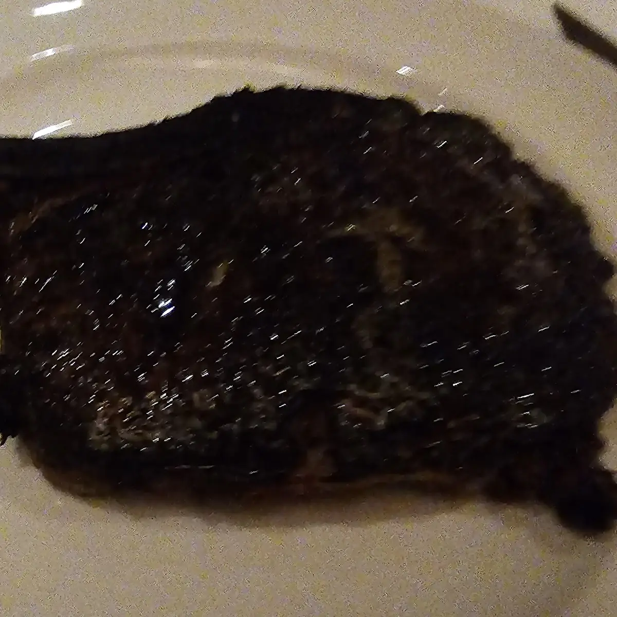 Bone in Ribeye Steak