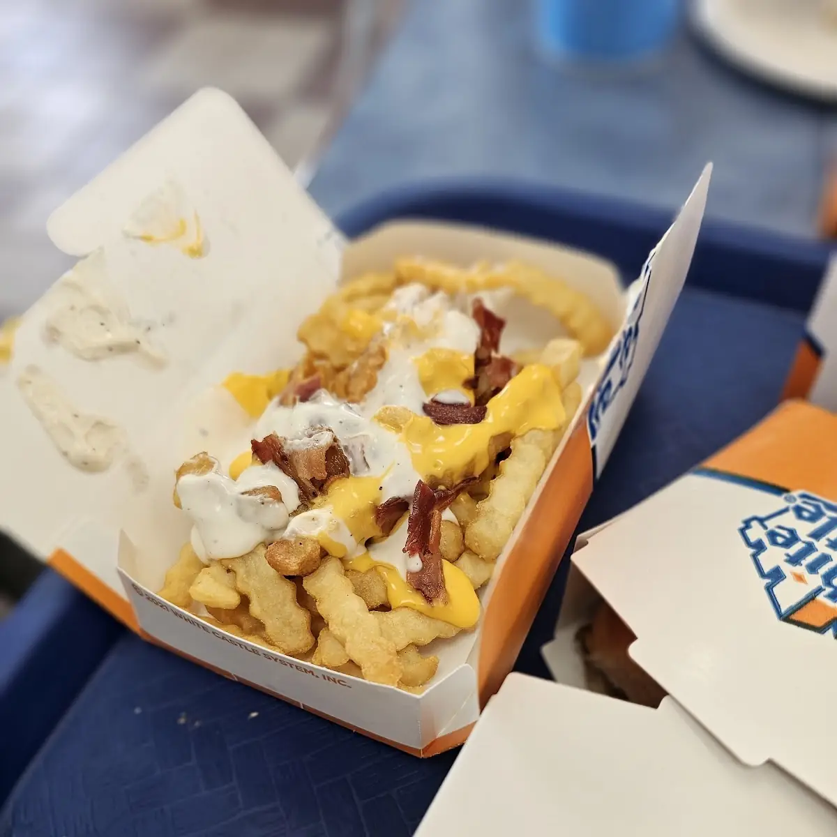 Loaded Fries