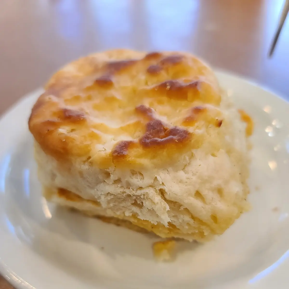 Chicken Biscuit