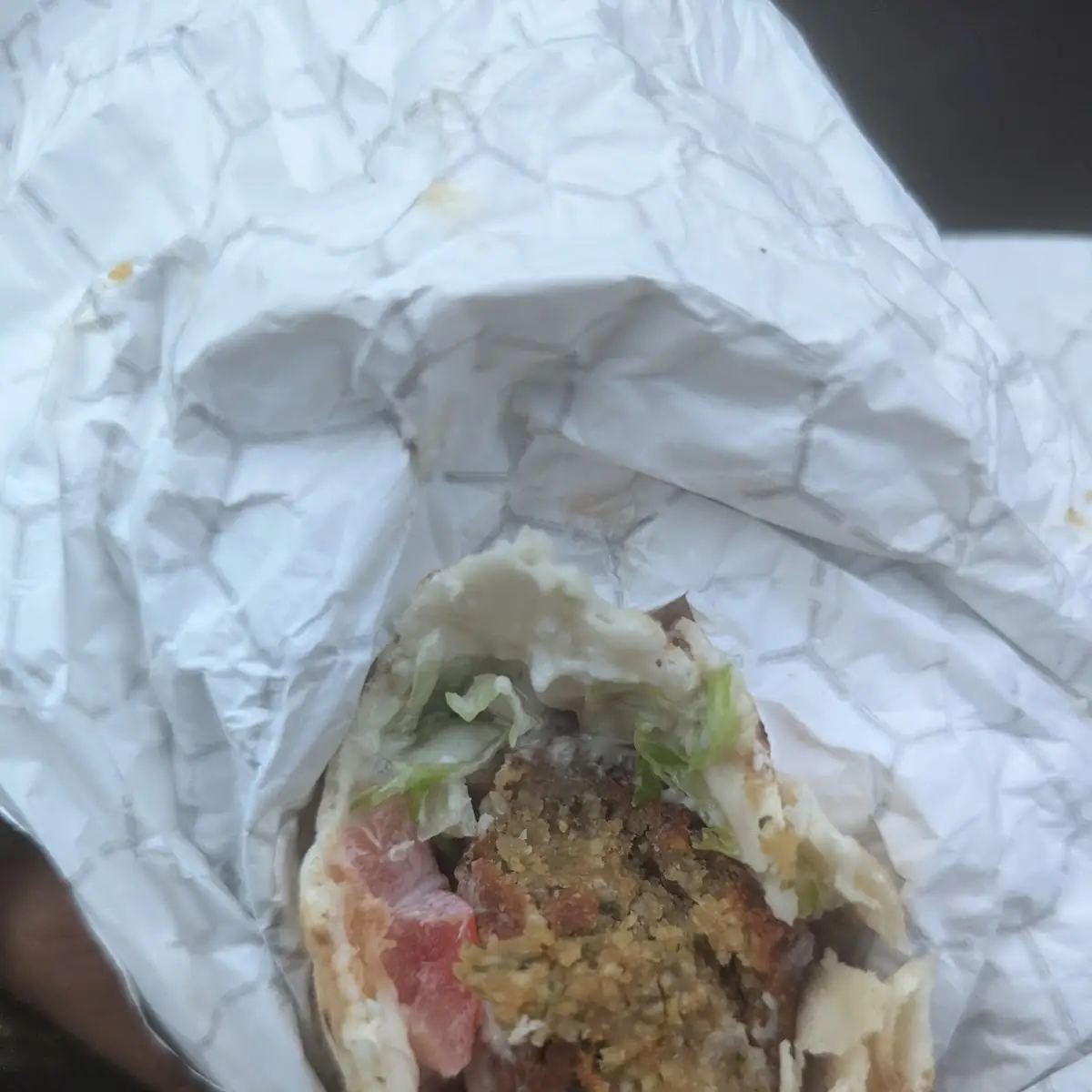 Falafel Sandwich