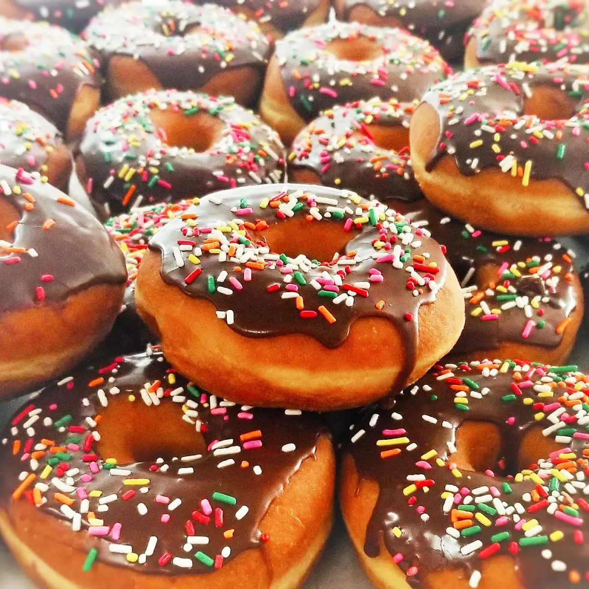 Doughnut