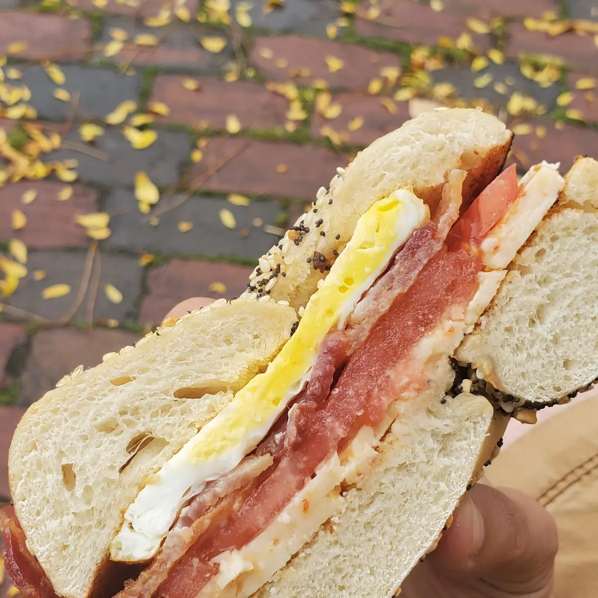 Specialty Breakfast Sandwich 1- Bagel Ghost Pepper Cheese Egg Bacon Tomato
