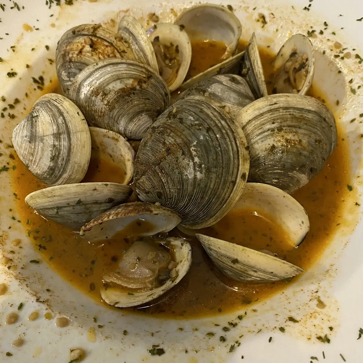 Steamed Clams