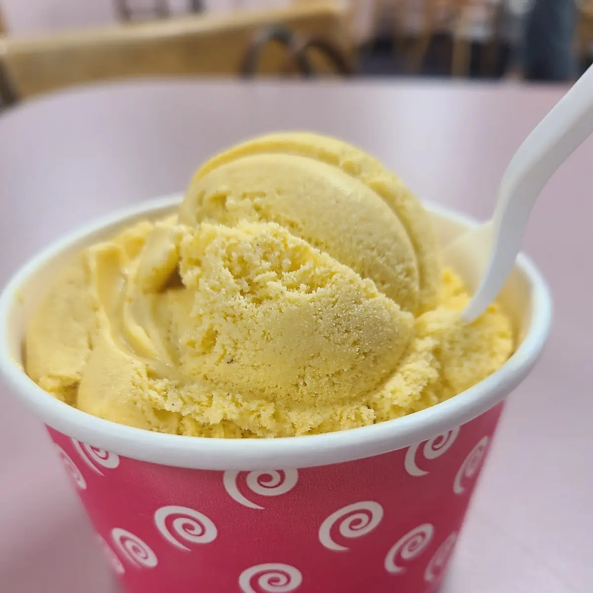 Pumpkin Ice Cream