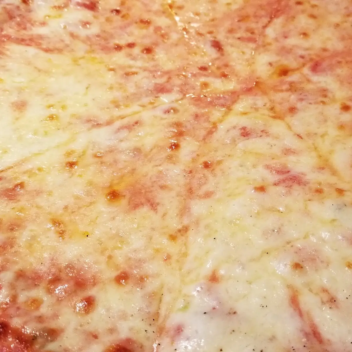 Extra Cheese Pizza