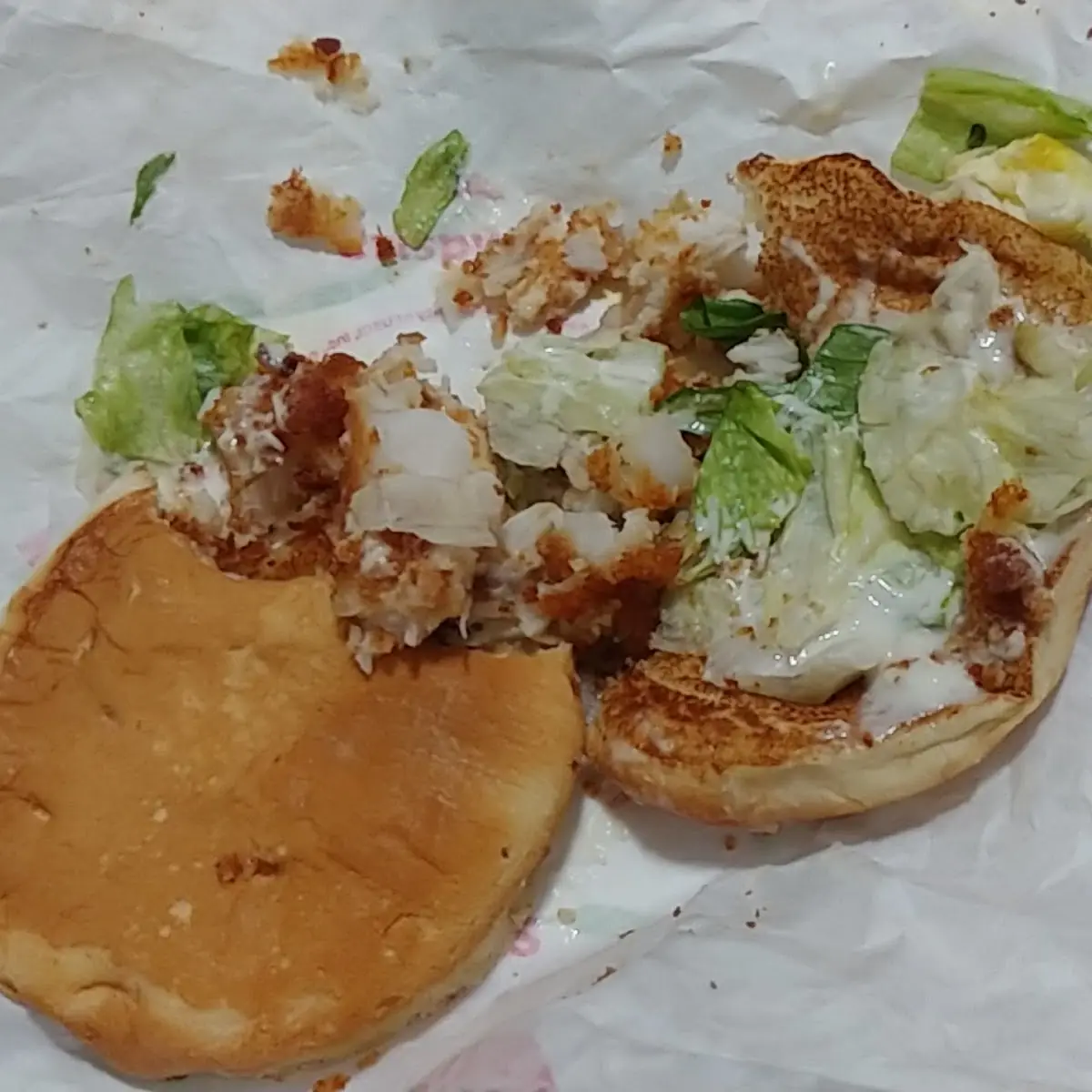 Uncooked Fish Sandwich