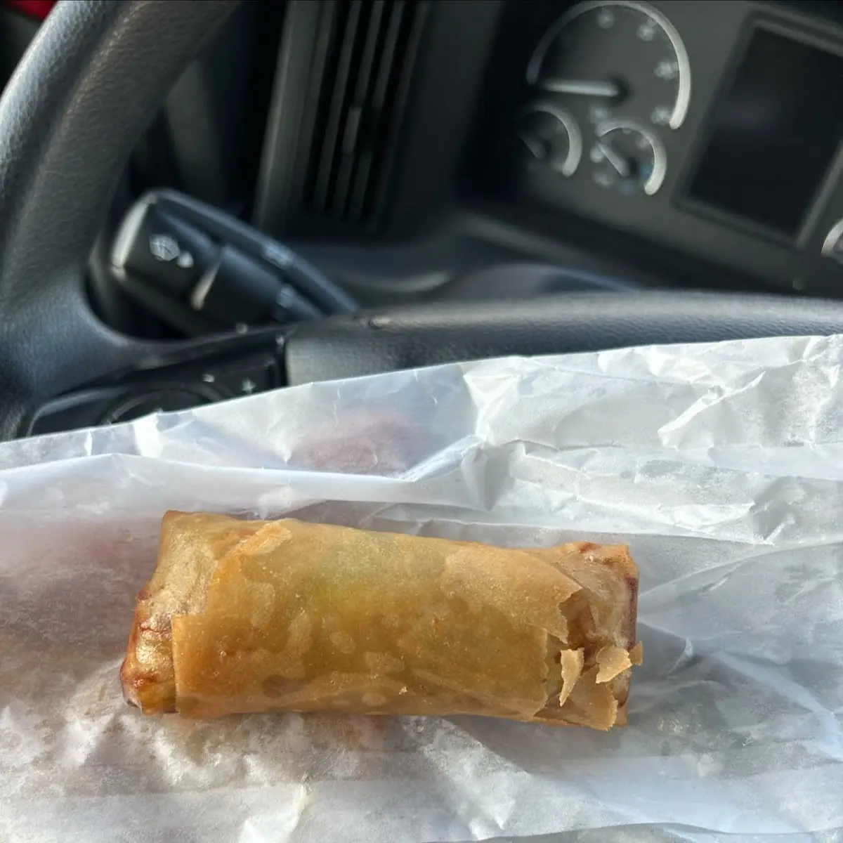 Spring Roll 1