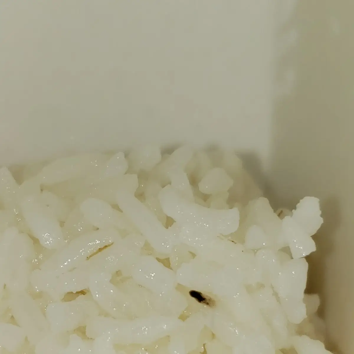 White Rice