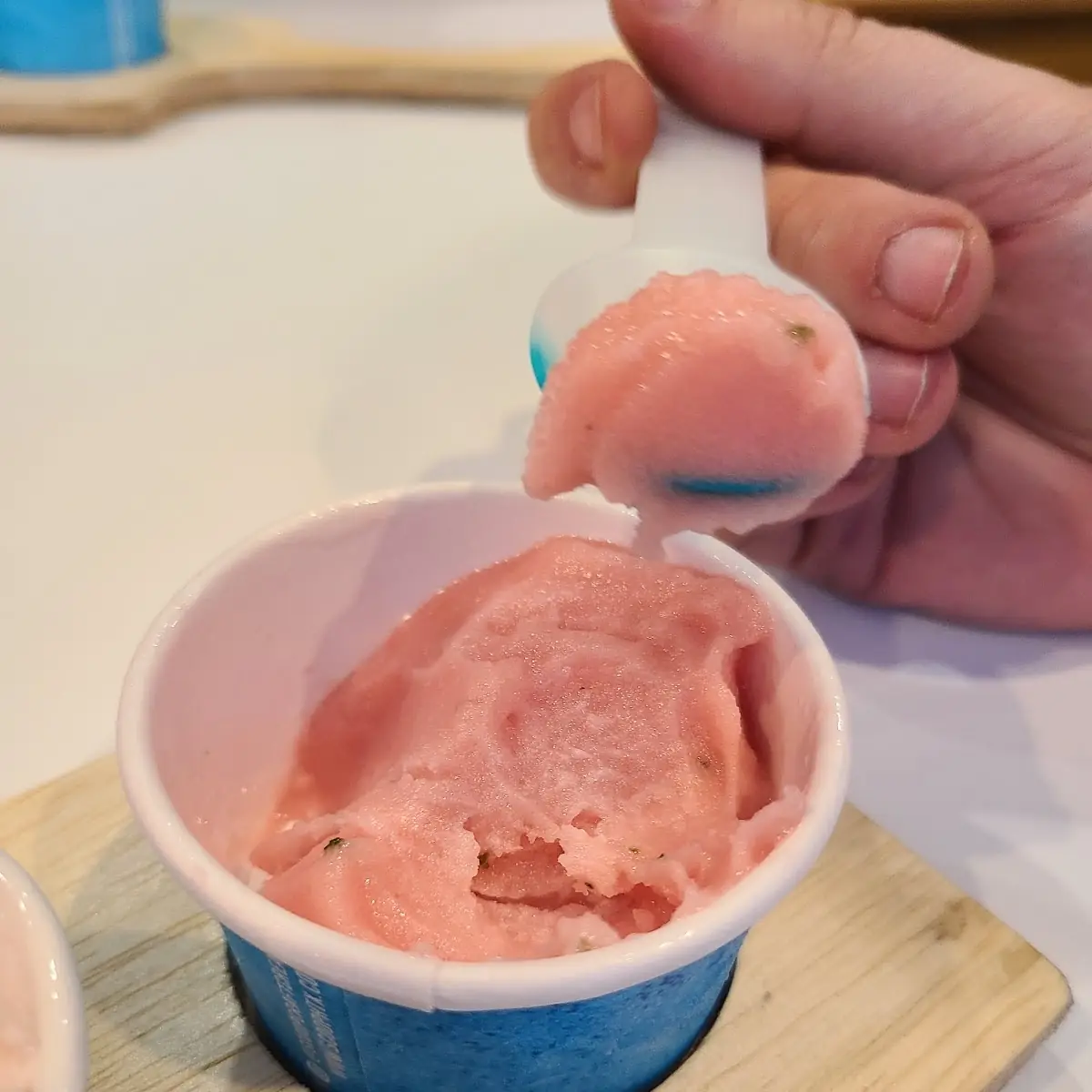 Watermelon Mojito Sorbet