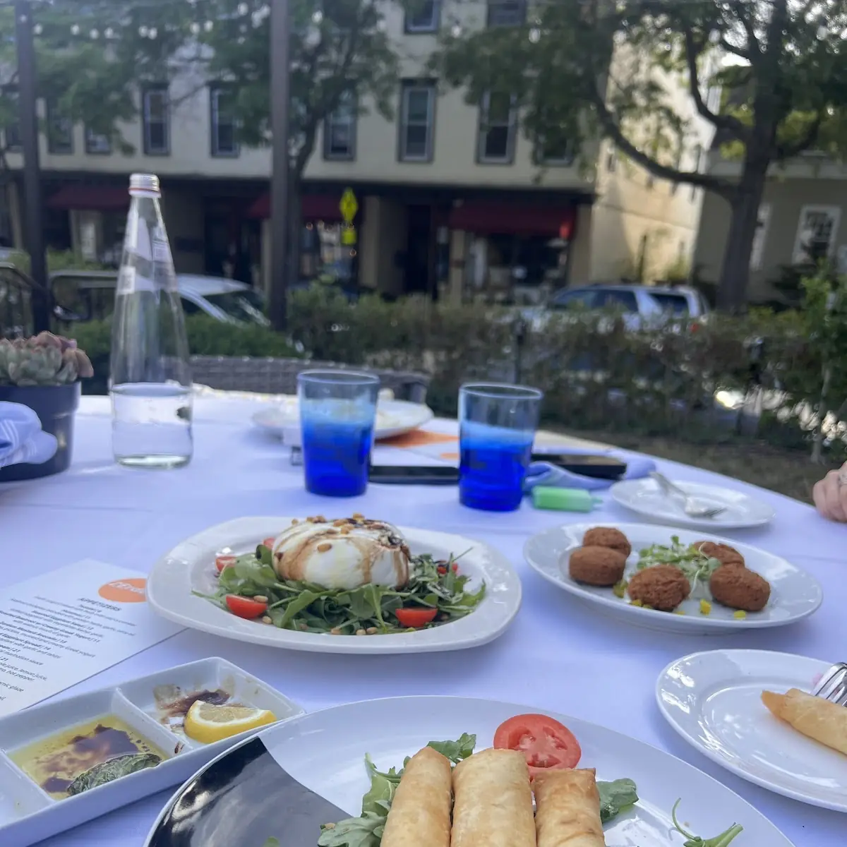 Spring Roll