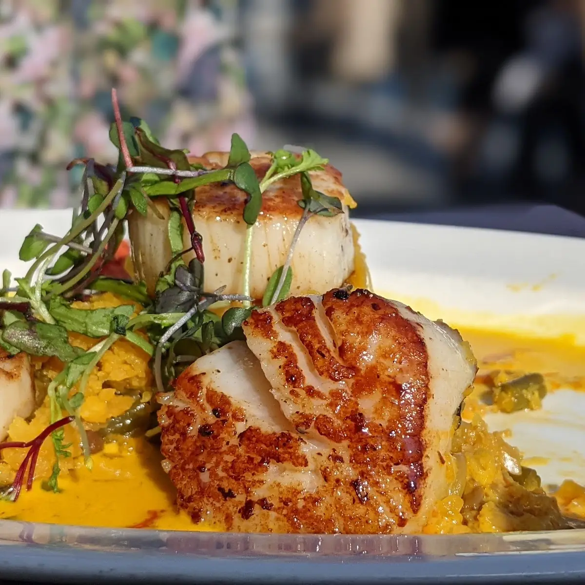 Seared Scallops