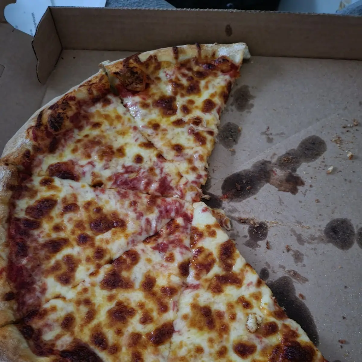 Medium Cheese Pizza
