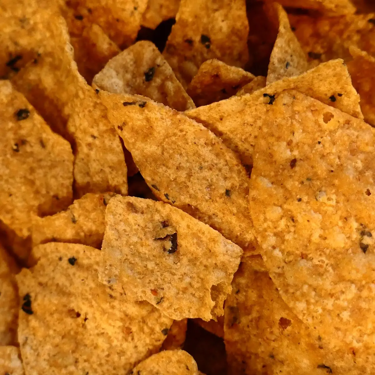 Chips & Salsa & Black Beans w Walnut Chile Oil