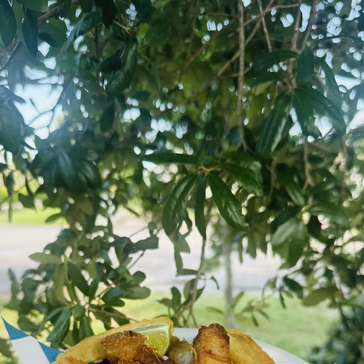 POLLO/CHICKEN Taco
