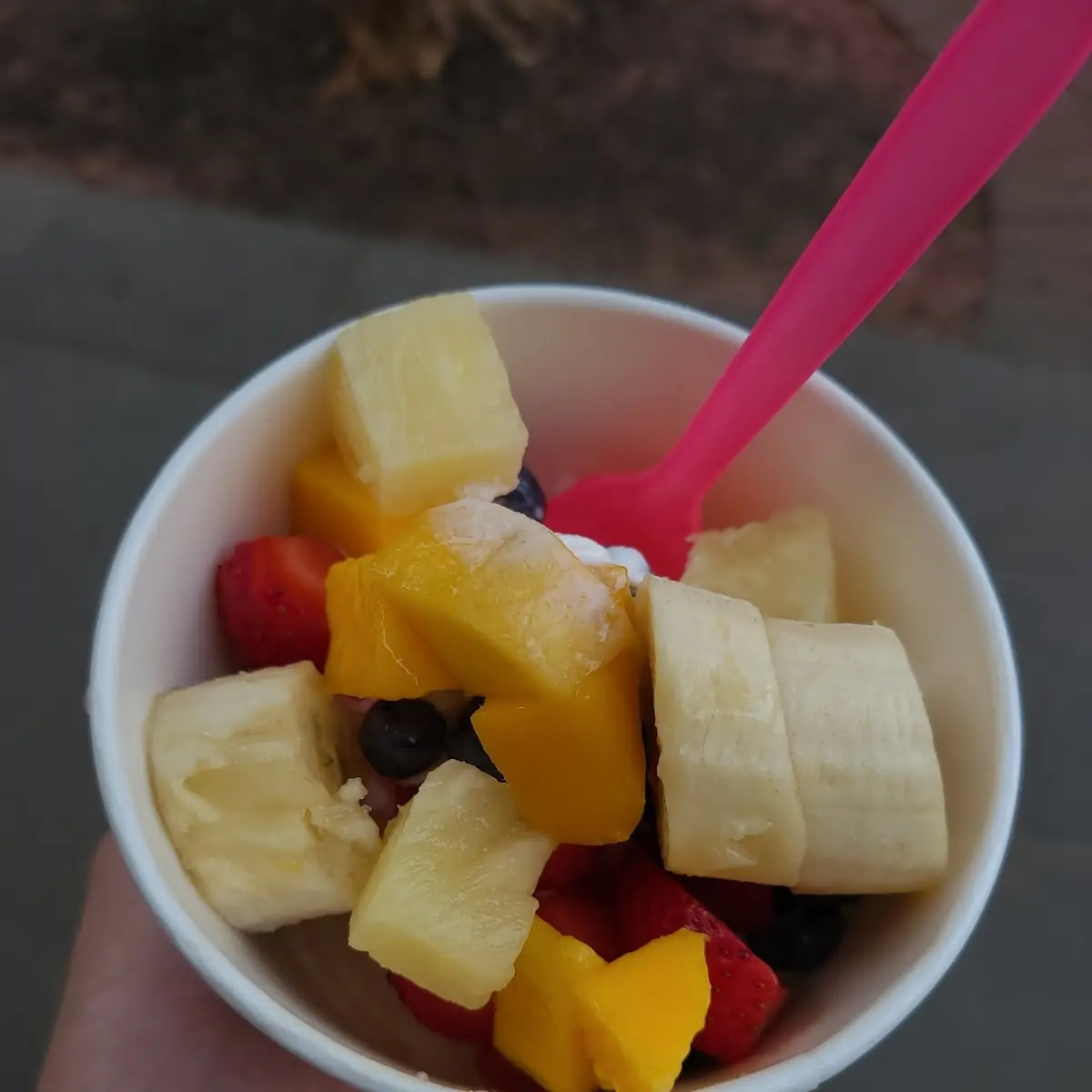Fresh Fruit