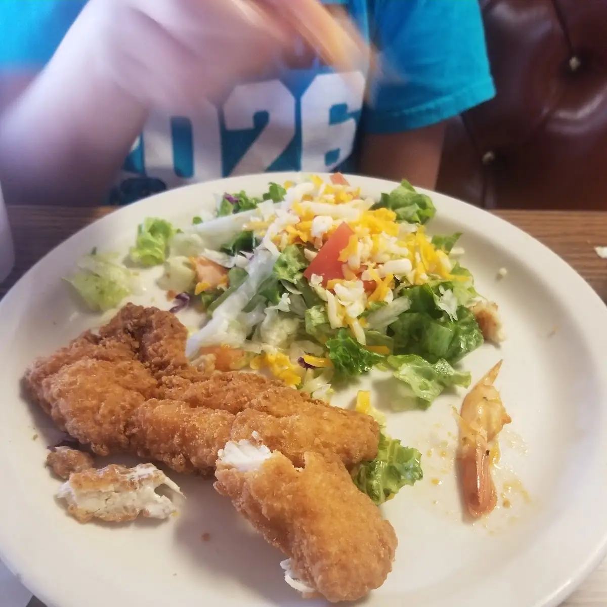 Catfish Fillet