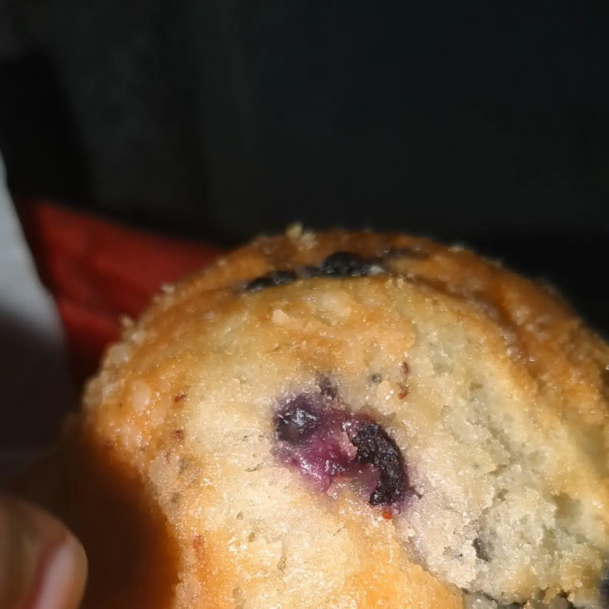 Blueberry Muffin