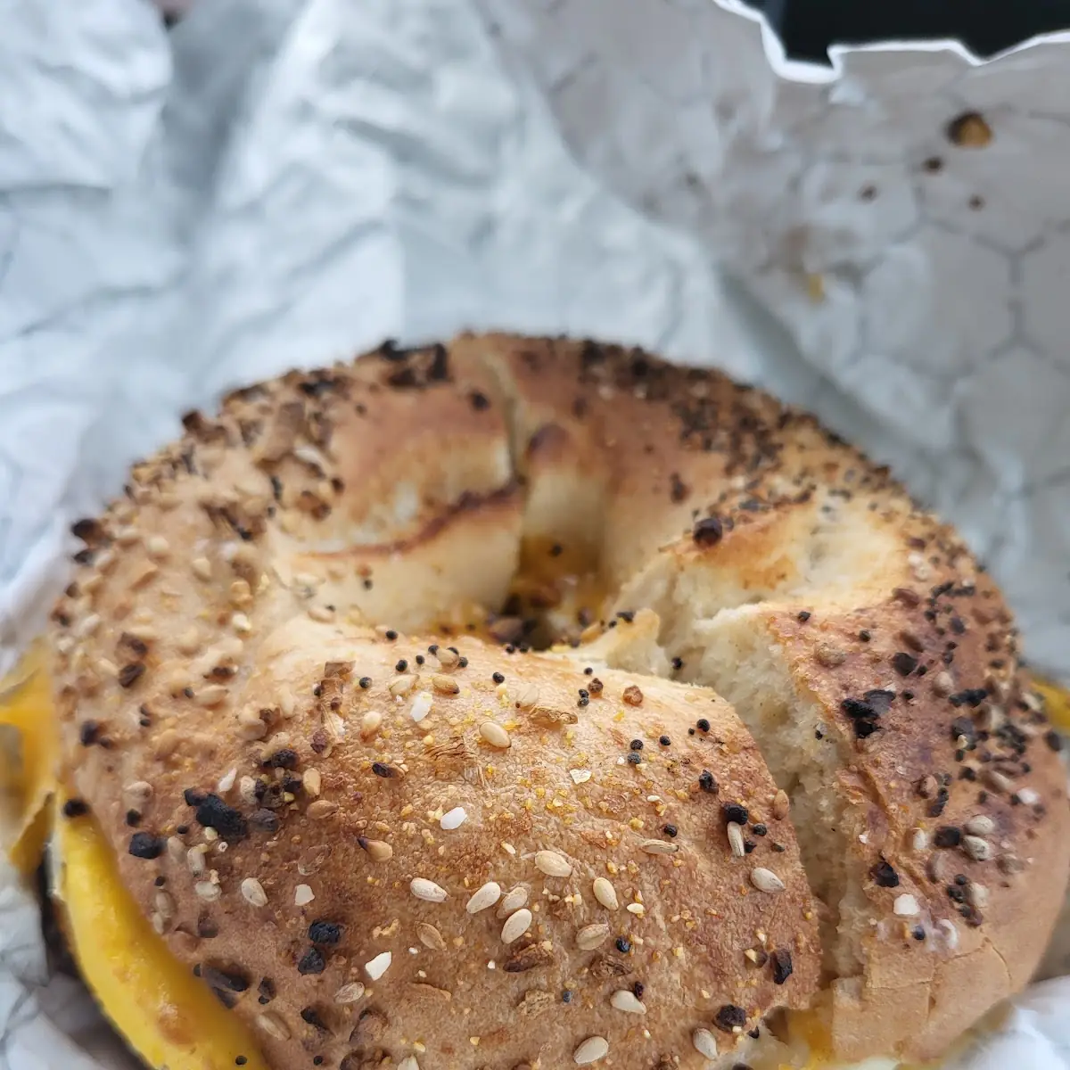 EEG and Cheese Bagels
