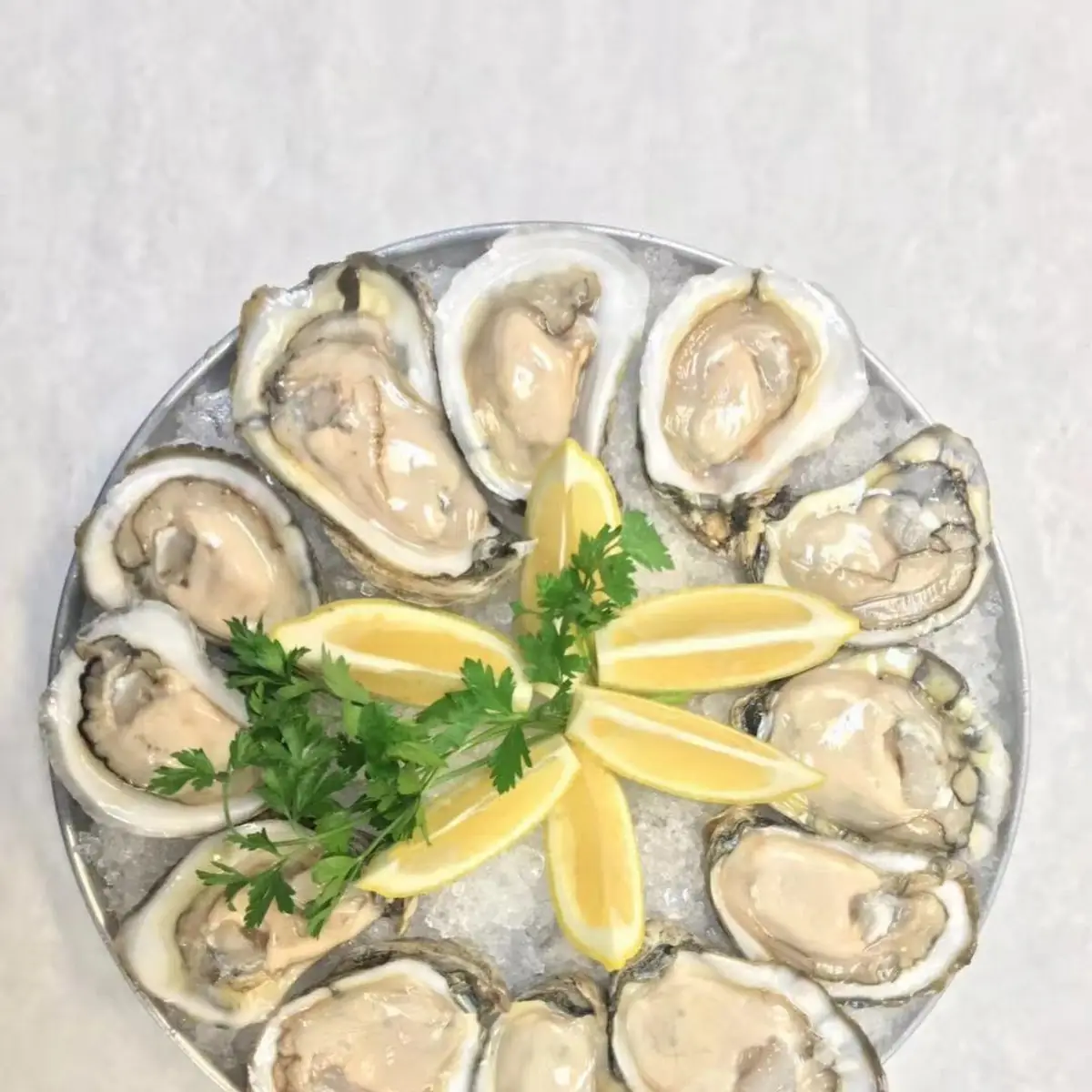One Dozen Oyster