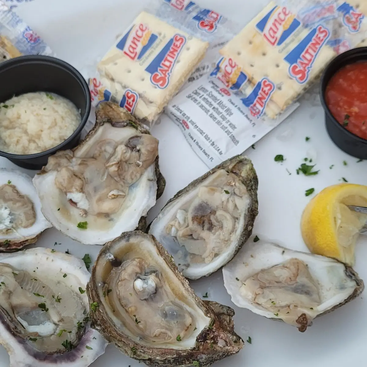 Oysters on the Half Shell