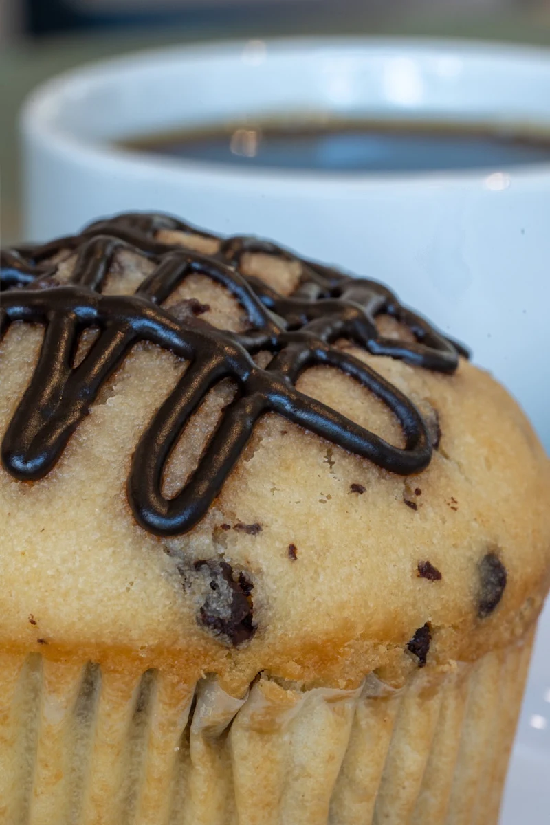 Chocolate Chip Muffin