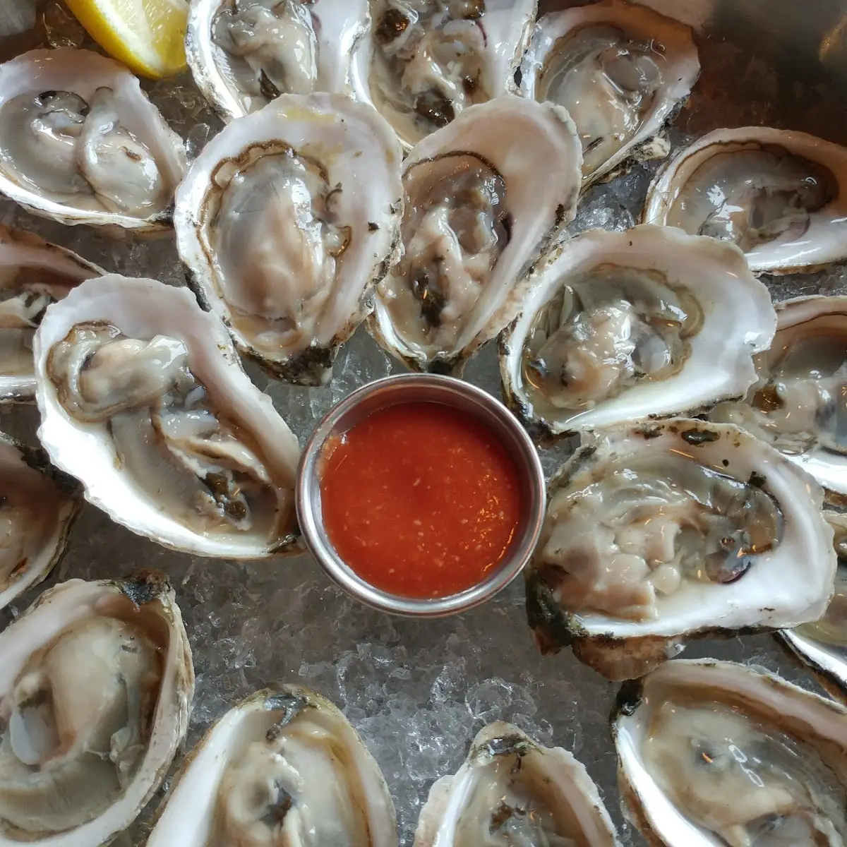 Local Oysters on the Halfshell