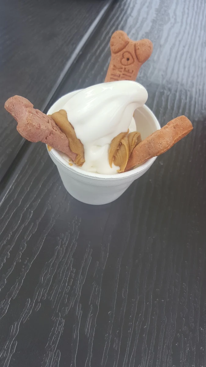 Puppy Sundae