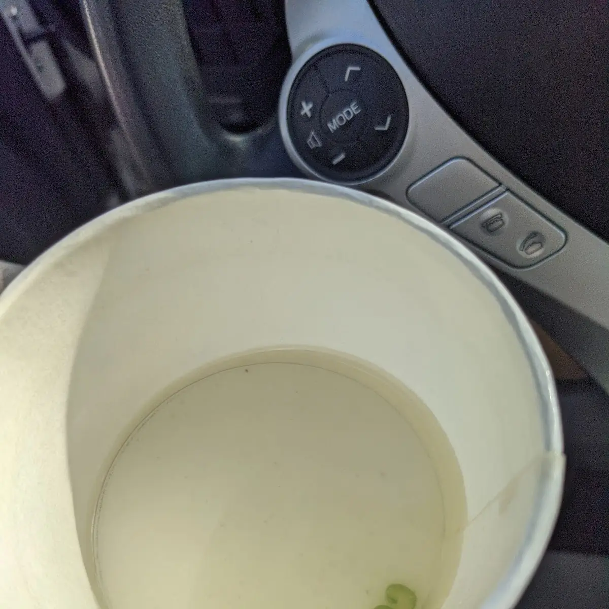 Chicken Soup