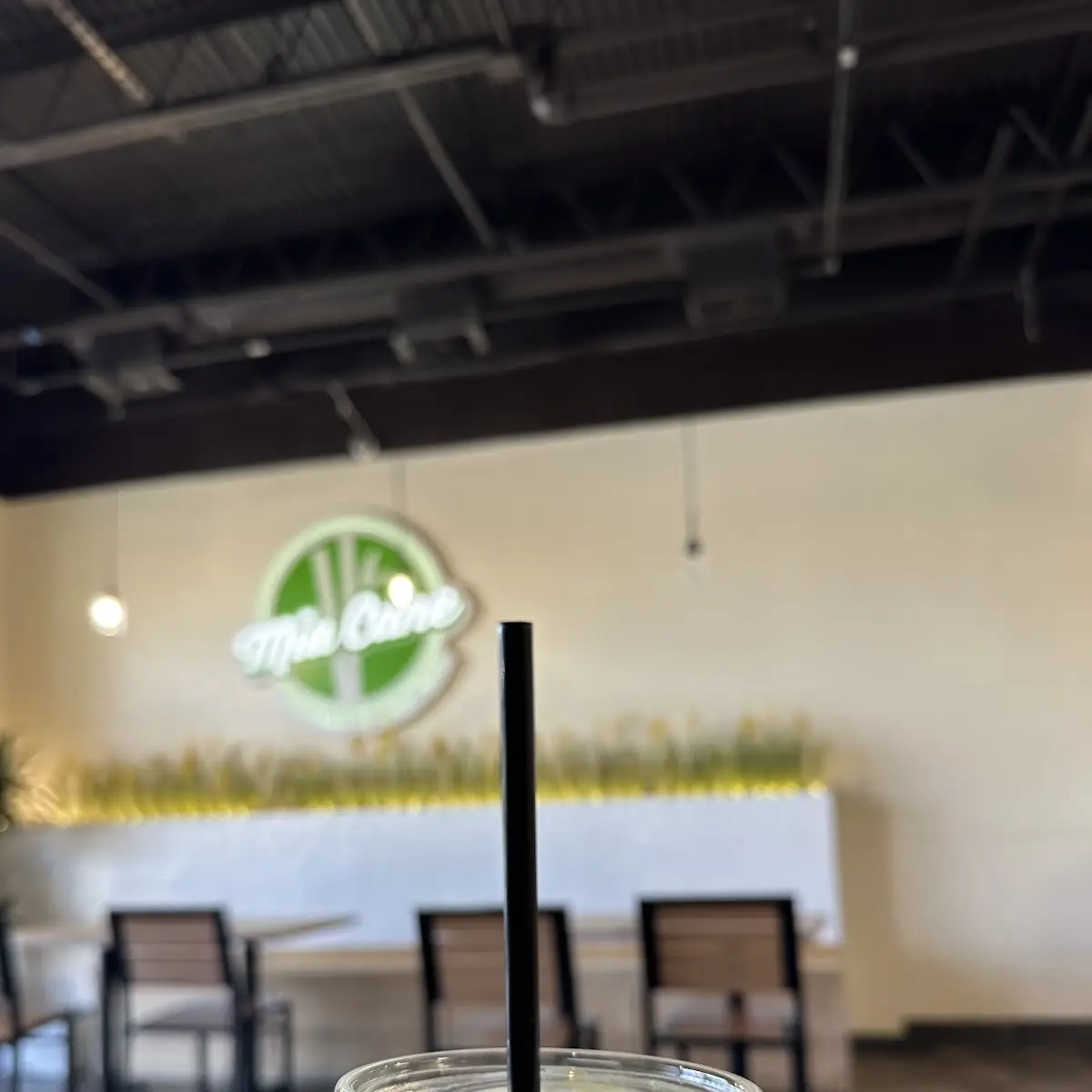 Vanilla Bean Matcha