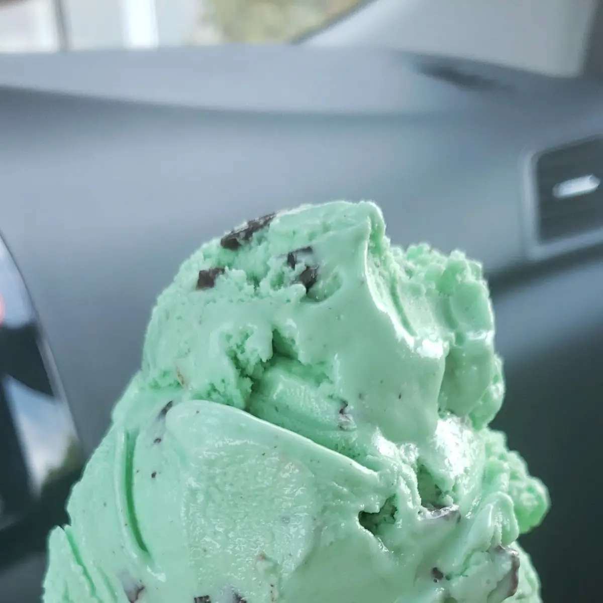 Mint Chocolate Chip