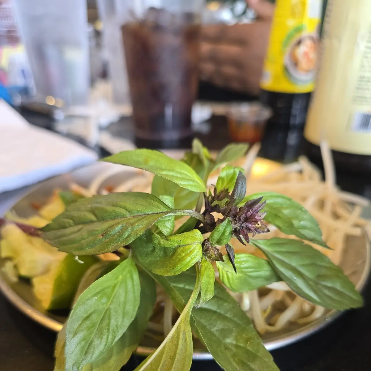 Thai Basil