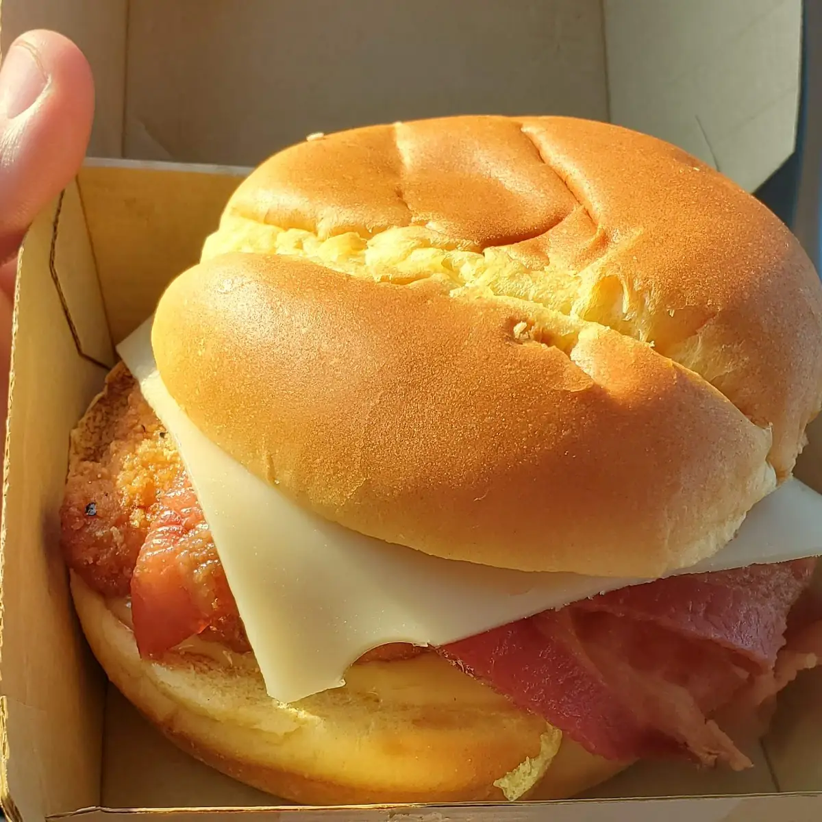 Chicken Bacon Swiss Cheese