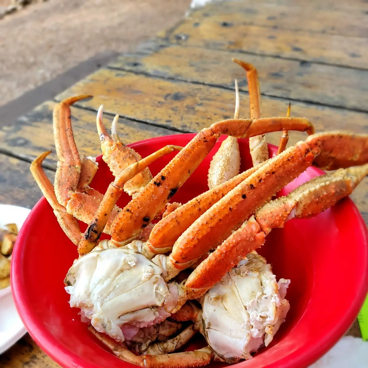 Alaskan Snow Crab