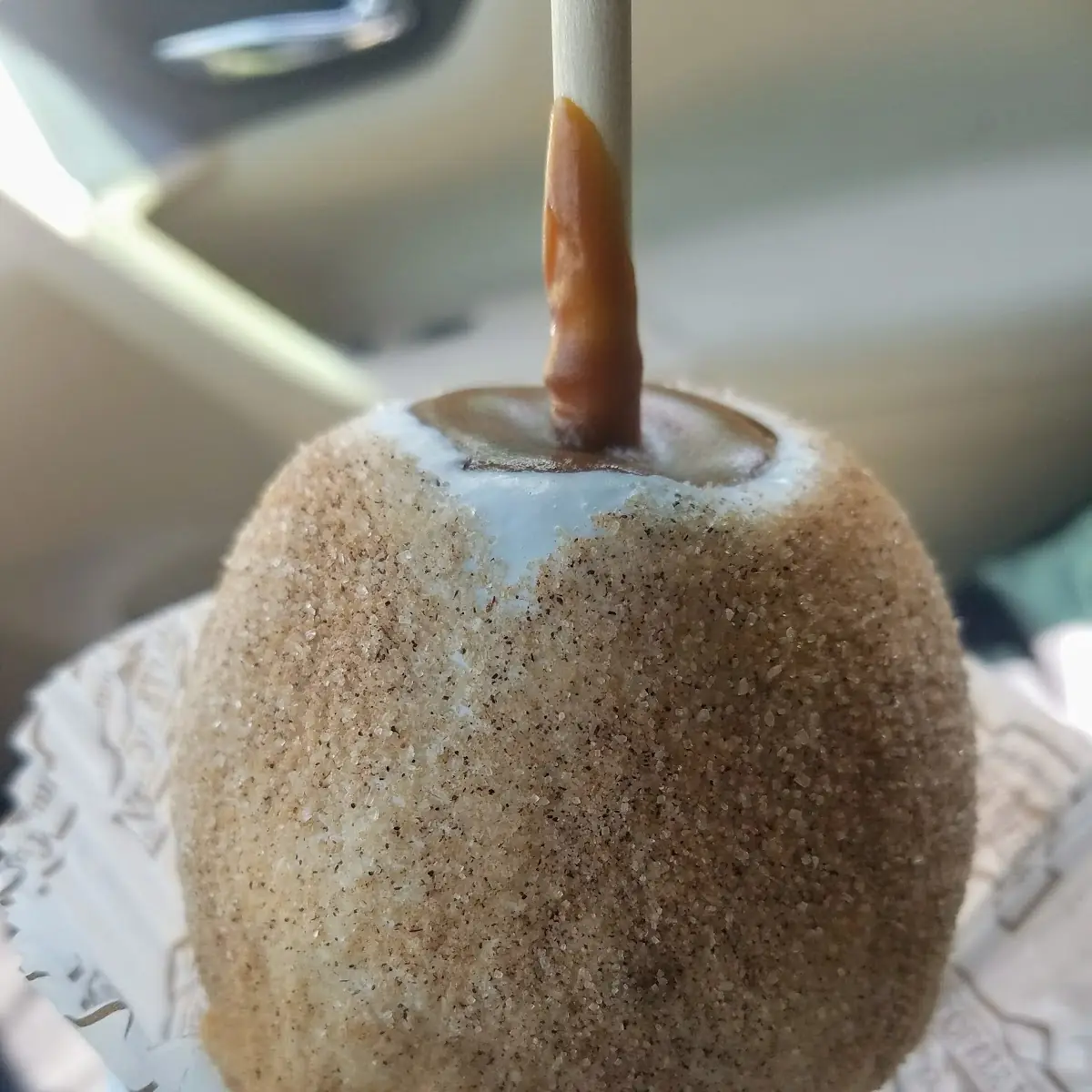 Apple Pie Apple
