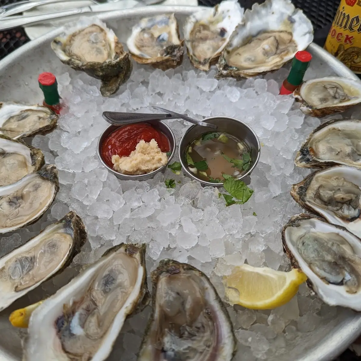 Fresh Oysters