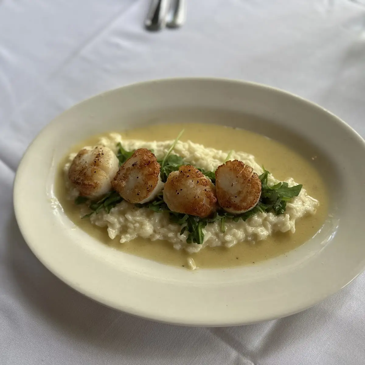 Seared Sea Scallops Appetizer