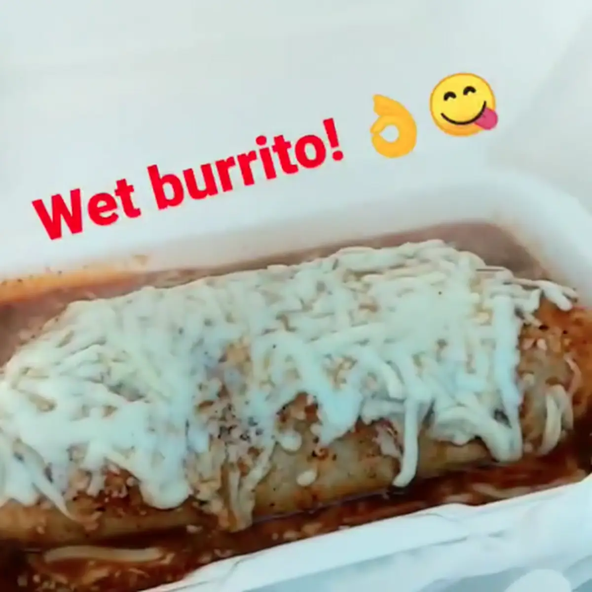 Burrito Mojado
