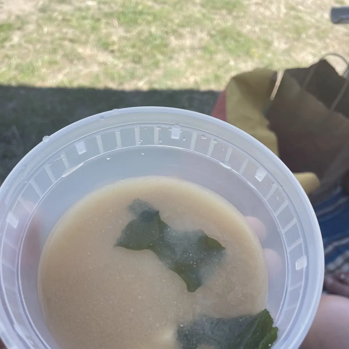 Miso Soup