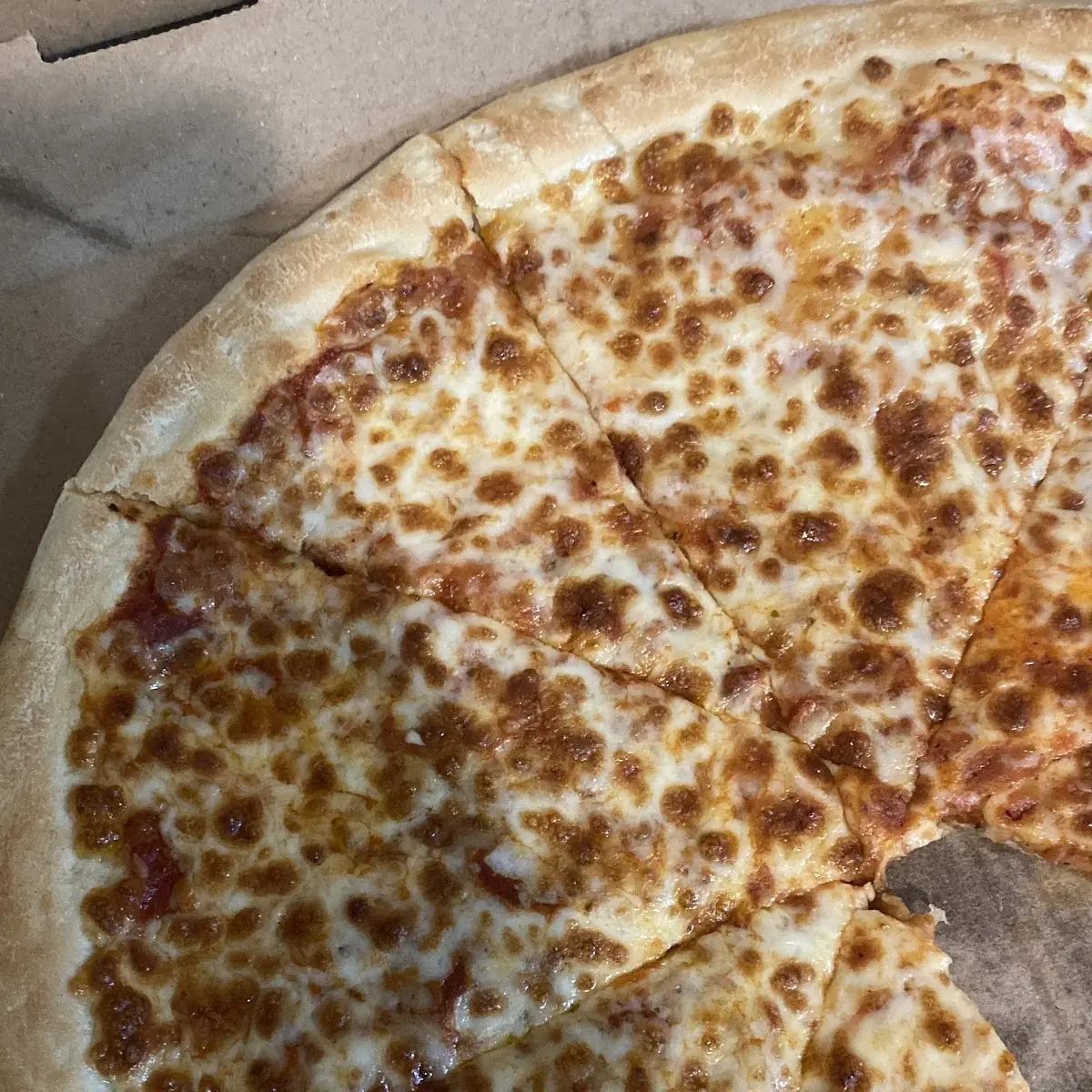 Cheese Pizza