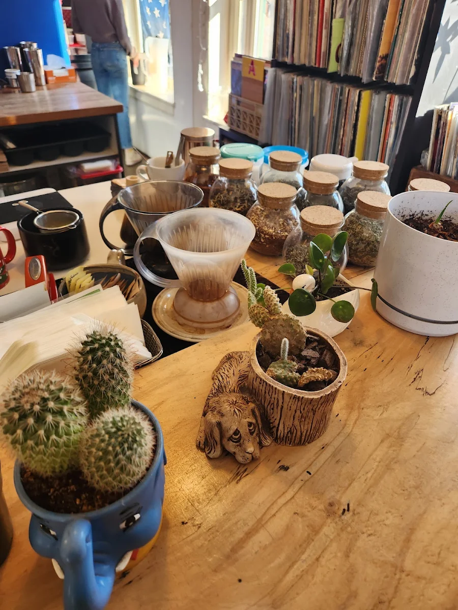 Loose Leaf Tea
