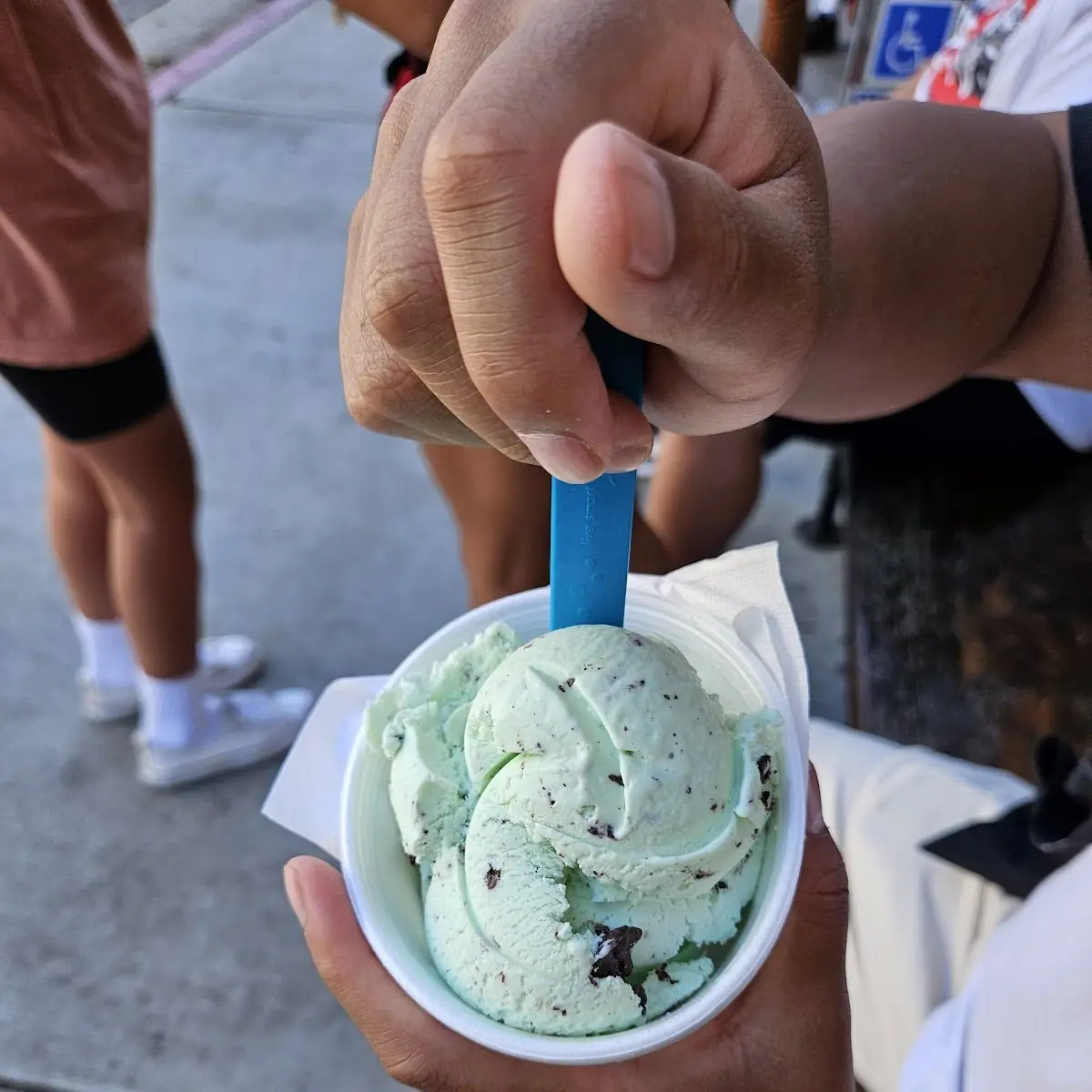 Mint Chocolate Chip