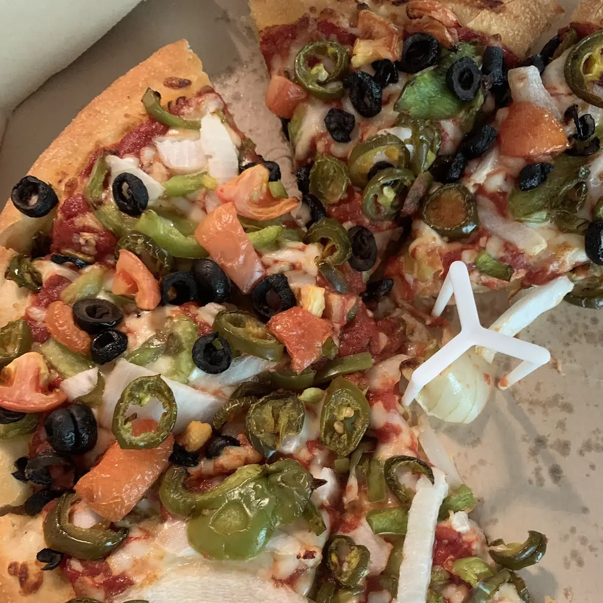 Veggie Lover's Pizza